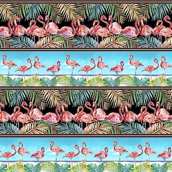Aqua - Flamingo Border Stripe